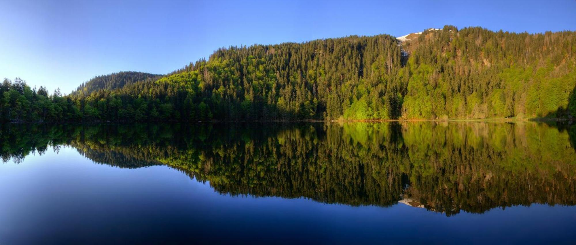 Haus Panoramablick - Fewo Storchennest, Höchenschwand Exteriör bild
