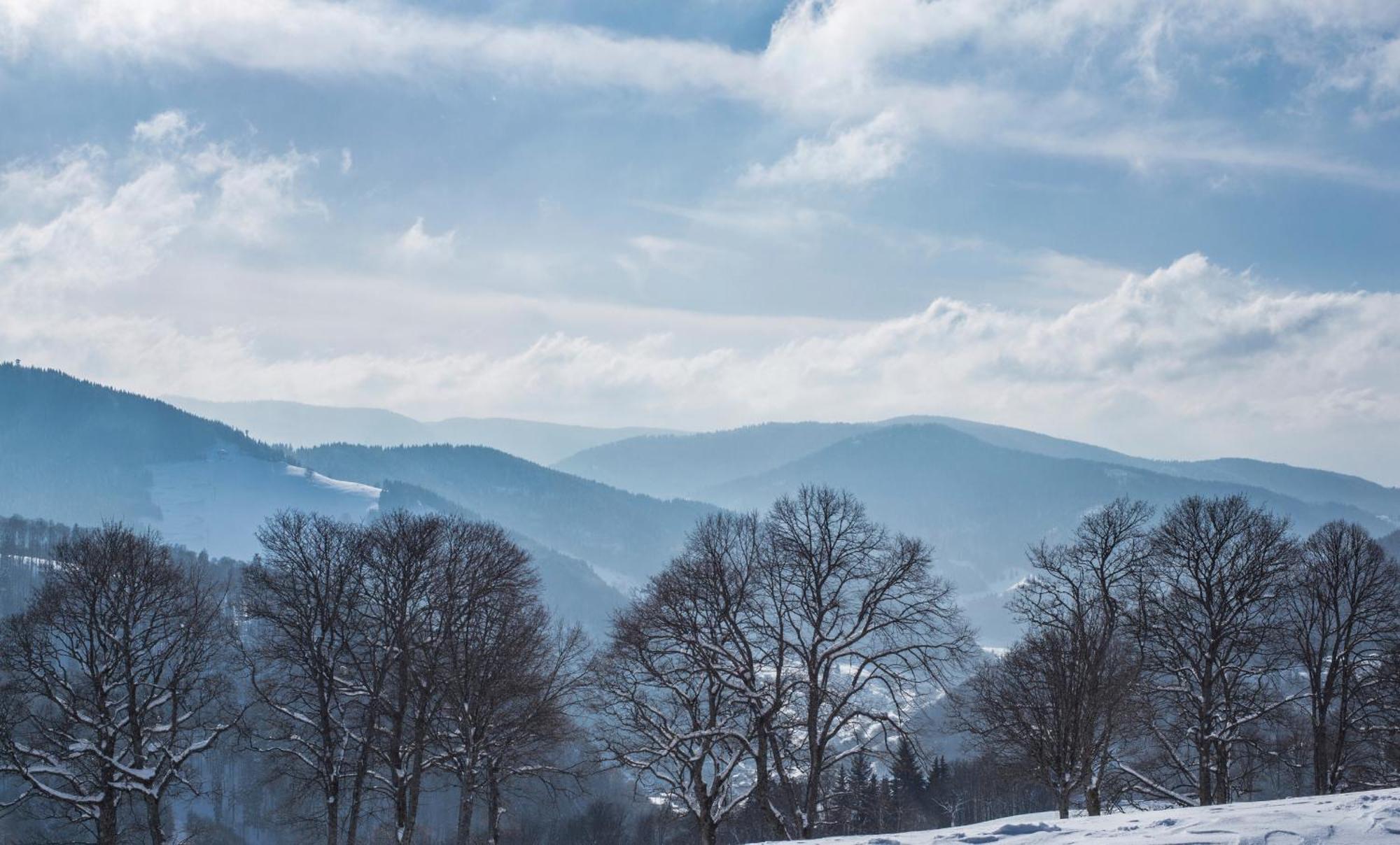 Haus Panoramablick - Fewo Storchennest, Höchenschwand Exteriör bild