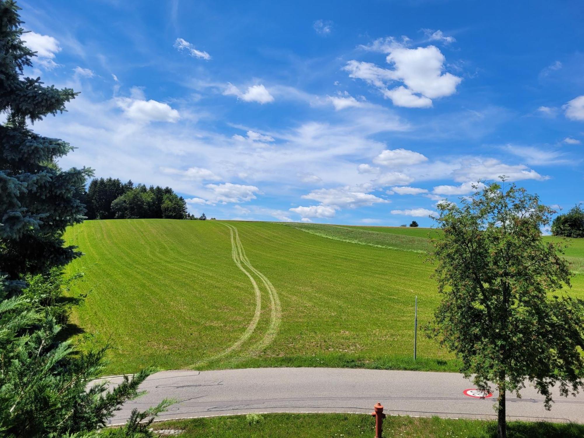 Haus Panoramablick - Fewo Storchennest, Höchenschwand Exteriör bild